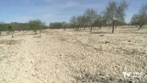 El Ministerio avisa de la posible declaración de sequía extraordinaria en el primer trimestre de 2024