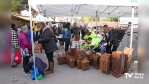 Rojales pone en marcha una campaña informativa sobre el contenedor marrón