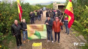 Agricultores de la Vega Baja y Murcia reivindican mejores condiciones para la producción del limón