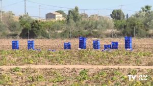 La producción de la patata se reduce y aumenta su precio