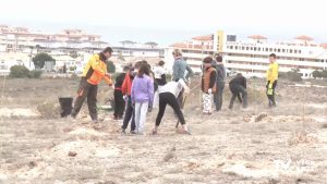 800 alumnos de Torrevieja plantan especies autóctonas en el Parque Natural de las Lagunas de la Mata y Torrevieja