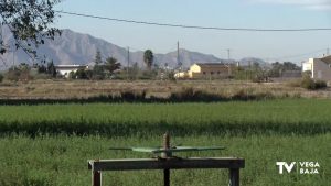 Ocho grupos ecologistas reivindican la conservación de la huerta tradicional con motivo del Día Mundial de los Humedales