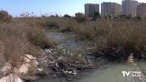 La CHS convoca actuaciones de voluntariado medioambiental en los cauces de la Demarcación Hidrográfica del Segura