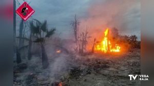 Arden palmeras en la N-332 a la altura de San Fulgencio