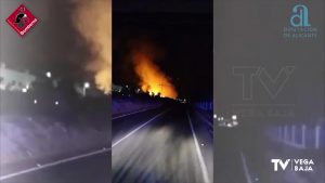 Gran incendio de palmeras en una de las entradas a Torrevieja