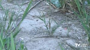 La CHS declara la situación excepcional por sequía extraordinaria en la Vega Baja