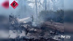 El Consorcio Provincial de Bomberos moviliza medios aéreos por un incendio de palmeras en Albatera