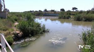 La CHS licita el contrato de mantenimiento y limpieza residuos en las redes de flotantes del río Segura por 340.000 euros