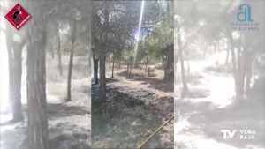 Los bomberos evitan la propagación de un incendio en la pinada de Guardamar