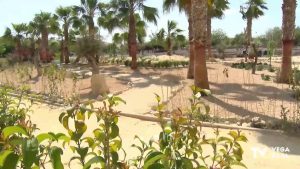 Mejoran los jardines del Museo de la Huerta de Dolores con el Taller de Empleo T'Avalem