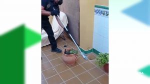 Al rescate....de una serpiente que se había colado en un domicilio