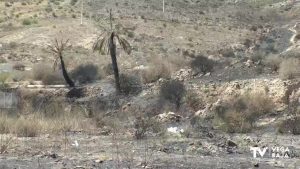 Preocupación y momentos de pánico entre los vecinos de Cox durante el incendio