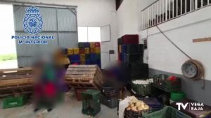 Detenidos en Callosa de Segura y Alicante por presunta trata de personas para explotación laboral