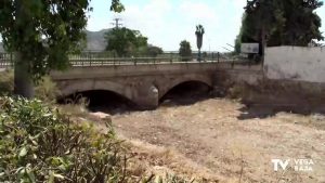 Las cañas invaden el cauce de la Rambla de Abanilla a su paso por Benferri