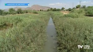 La CHS inicia los trabajos de mantenimiento del río Segura entre Rojales y Guardamar